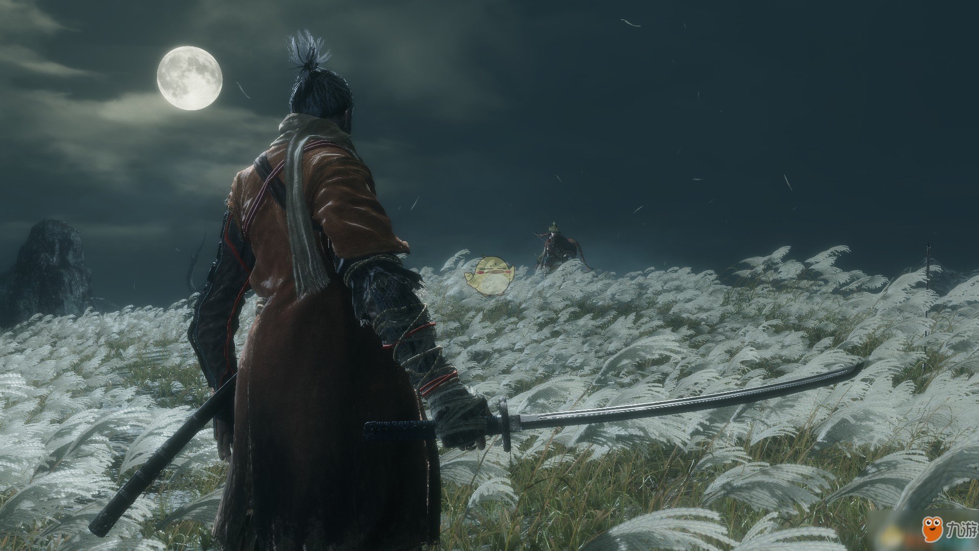 塞尔达传说：旷野之息 重制版 截图9