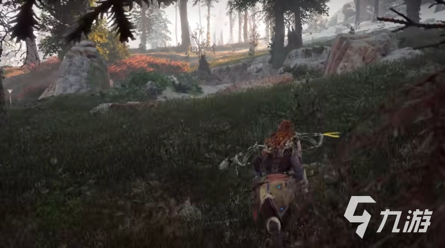 地平线：零之曙光 年度版 截图14