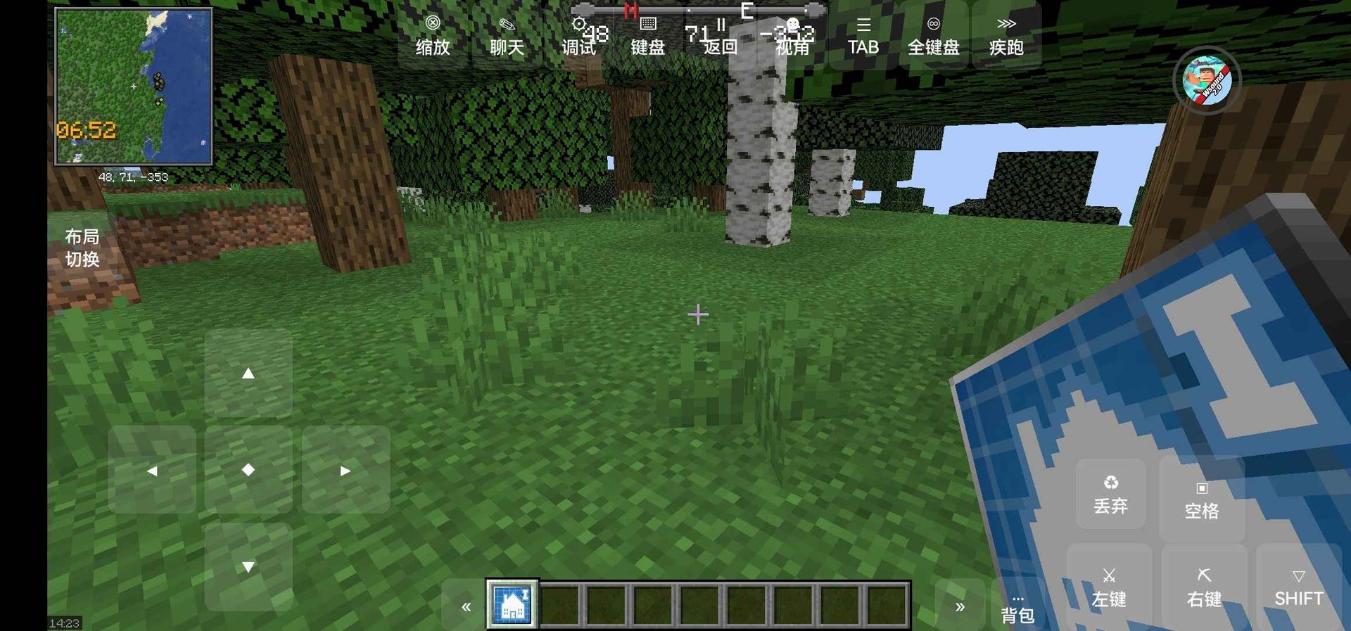 空洞骑士 年度版 截图19