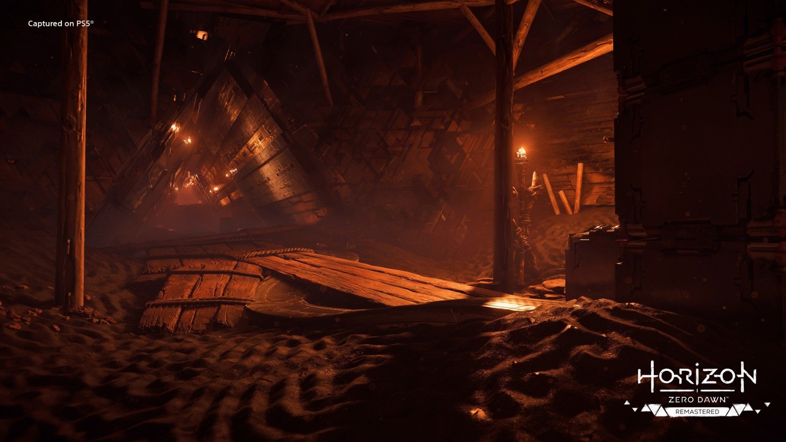 地平线：零之曙光 年度版 截图10